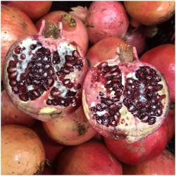 pomegranates Acco 