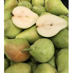 fresh pears  