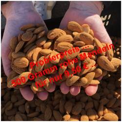 Unpeeled raw almonds 