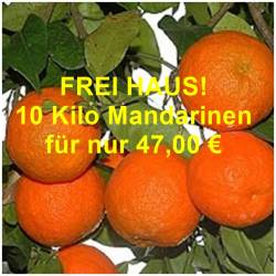 Fresh tangerines Clemenmiel  