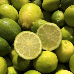 Fresh limes - directly from...