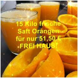 NEUE ERNTE! Saft Orangen...