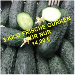 Fresh cucumbers 