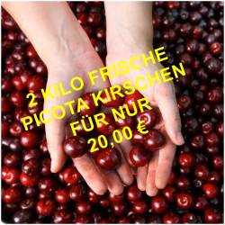 Kirschen  Picota / Neue Ernte 
