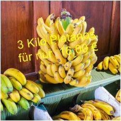 Platano / ähnelt den...