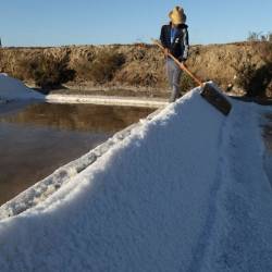 Fleur de Sel, handgeerntet im Naturschutzgebiet  Delicado48 - 4