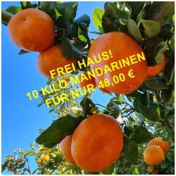 Fresh sweet tangerines Leanri 