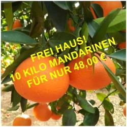 Neue Ernte süsse Mandarinen...