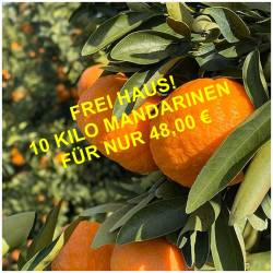 NEUE ERNTE! Frische Gold...