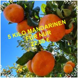 Neue Ernte süsse Mandarinen...