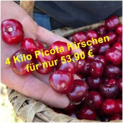 Kirschen  Picota / Neue Ernte 
