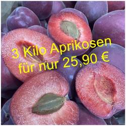 Frische Aprikosen der Sorte...