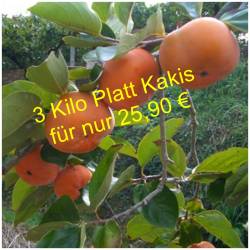 Sharon Früchte / Platt Kakis 