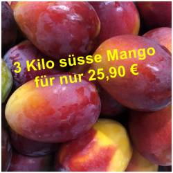 Mango Sensation