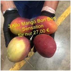 Mango Bon Bon  Sensation