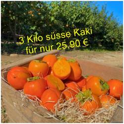 Kaki