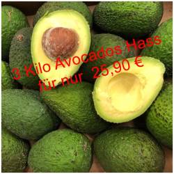 Avocado Hass 